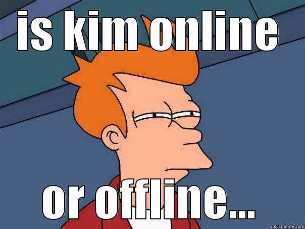 IS KIM ONLINE OR OFFLINE... Futurama Fry