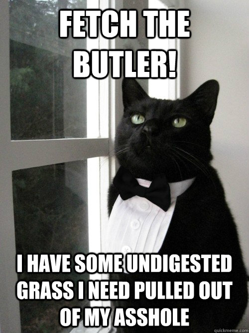 Fetch the butler! I have some undigested grass I need pulled out of my asshole  One Percent Cat