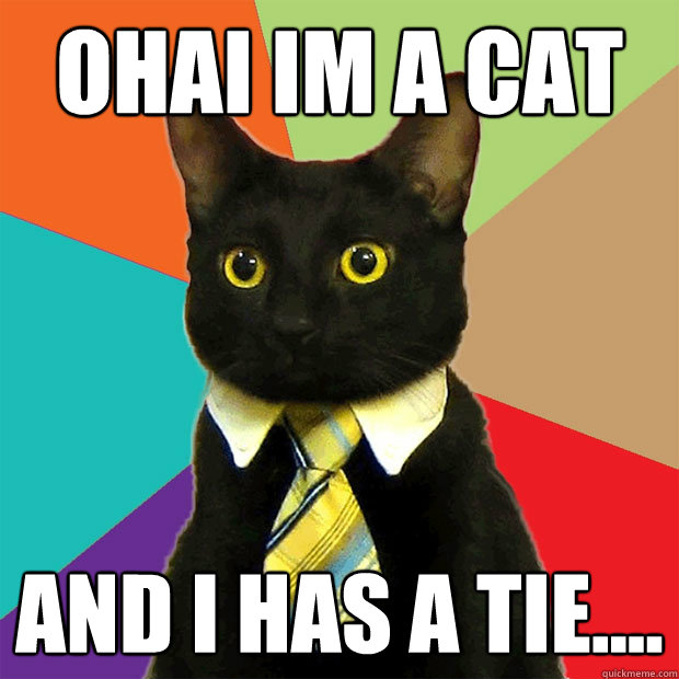 ohai im a cat and i has a tie....  Business Cat