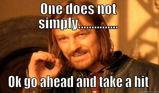 ONE DOES NOT SIMPLY............... OK GO AHEAD AND TAKE A HIT Boromir