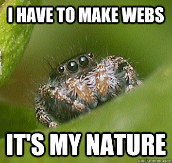 I have to make webs it's my nature  Misunderstood Spider