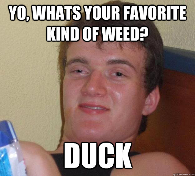 Yo, whats your favorite kind of weed? duck - Yo, whats your favorite kind of weed? duck  10 Guy