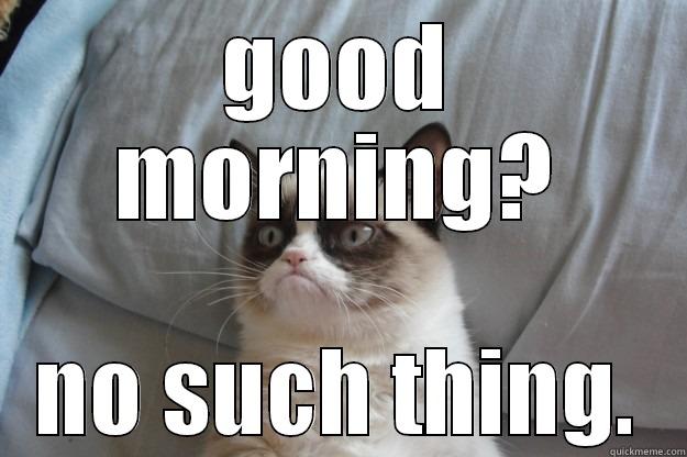 grumpy chat - GOOD MORNING? NO SUCH THING. Grumpy Cat