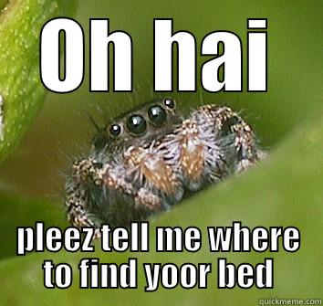 Scumbag surprise spider - OH HAI PLEEZ TELL ME WHERE TO FIND YOOR BED Misunderstood Spider