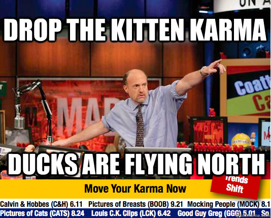 drop the kitten karma ducks are flying north - drop the kitten karma ducks are flying north  Mad Karma with Jim Cramer