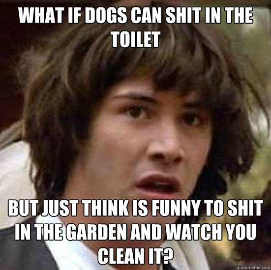 What if dogs can shit in the toilet but just think is funny to shit in the garden and watch you clean it?  conspiracy keanu