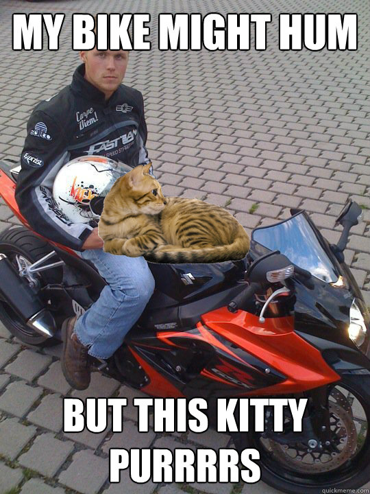 My bike might hum but this kitty purRRrs  