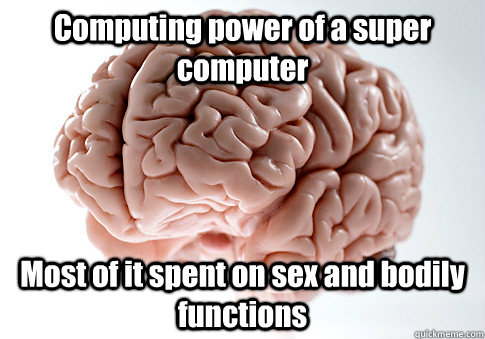 Computing power of a super computer Most of it spent on sex and bodily functions   Scumbag Brain