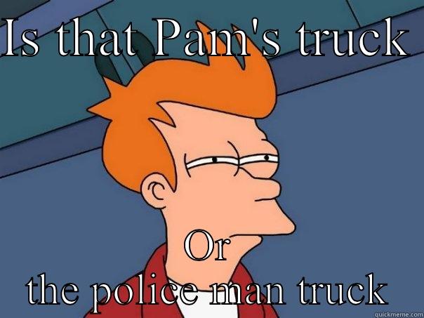 IS THAT PAM'S TRUCK  OR THE POLICE MAN TRUCK Futurama Fry