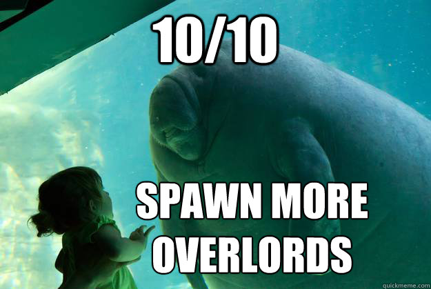 10/10 spawn more overlords  Overlord Manatee