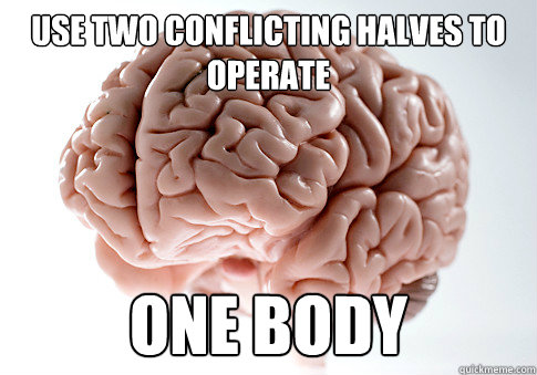 Use two conflicting halves to operate one body  Scumbag Brain