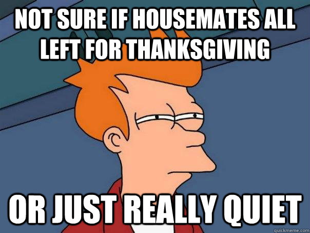 Not sure if housemates all left for Thanksgiving Or just really quiet  Futurama Fry