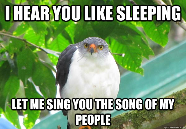 I hear you like sleeping Let me sing you the song of my people - I hear you like sleeping Let me sing you the song of my people  Misc