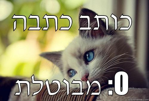 כותבכותב כתבה - כותב כתבה מבוטלת :O First World Problems Cat