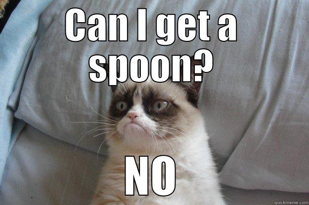 Crack head - CAN I GET A SPOON? NO Grumpy Cat