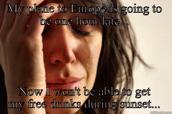 1st world plane delay - MY PLANE TO EUROPE IS GOING TO BE ONE HOUR LATE... NOW I WON'T BE ABLE TO GET MY FREE DRINKS DURING SUNSET... First World Problems