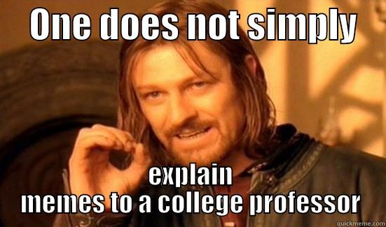     ONE DOES NOT SIMPLY     EXPLAIN MEMES TO A COLLEGE PROFESSOR Boromir