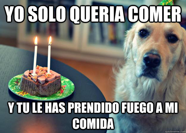 YO SOLO QUERIA COMER Y TU LE HAS PRENDIDO FUEGO A MI COMIDA  Sad Birthday Dog