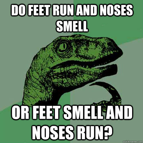 Do feet run and noses smell or feet smell and noses run?  Philosoraptor