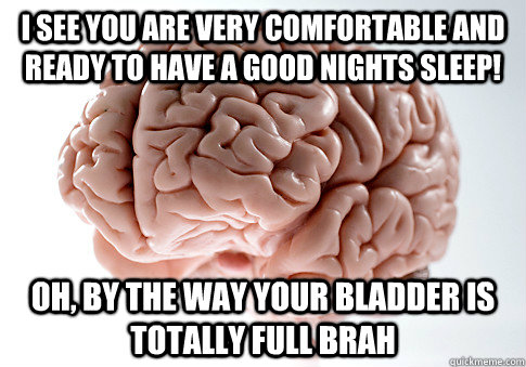 i see you are very comfortable and ready to have a good nights sleep! oh, by the way your bladder is totally full brah  Scumbag Brain