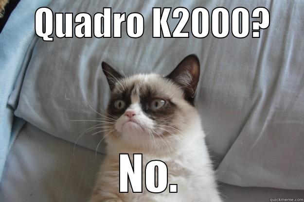      QUADRO K2000?      NO. Grumpy Cat