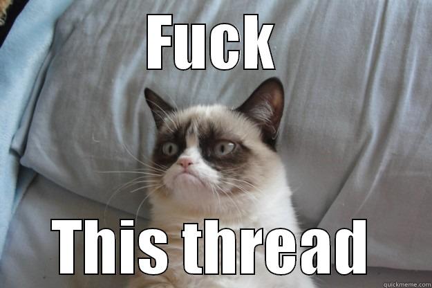 Fuck this thread - FUCK THIS THREAD Grumpy Cat