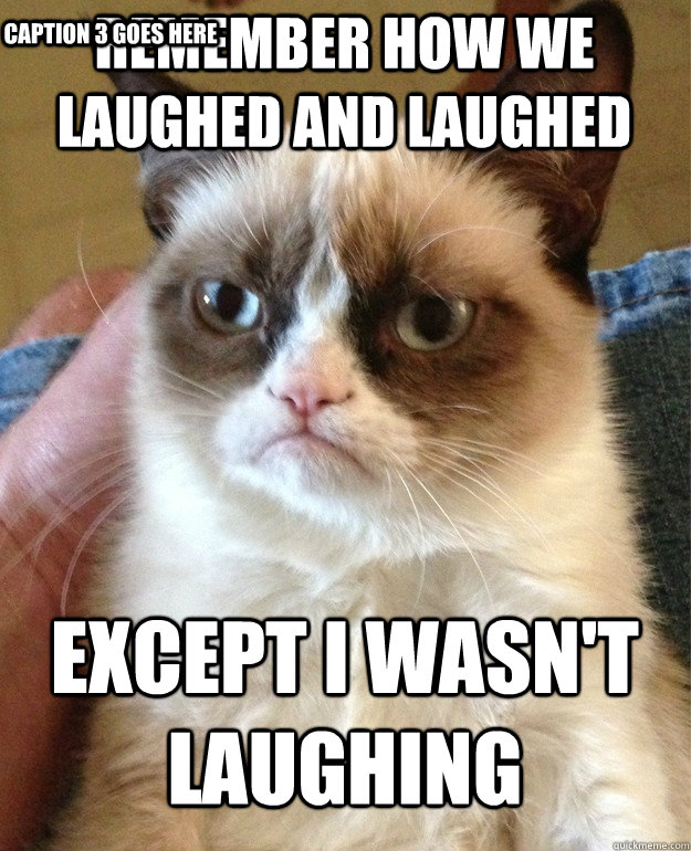 remember how we laughed and laughed except I wasn't laughing Caption 3 goes here  Grumpy Cat