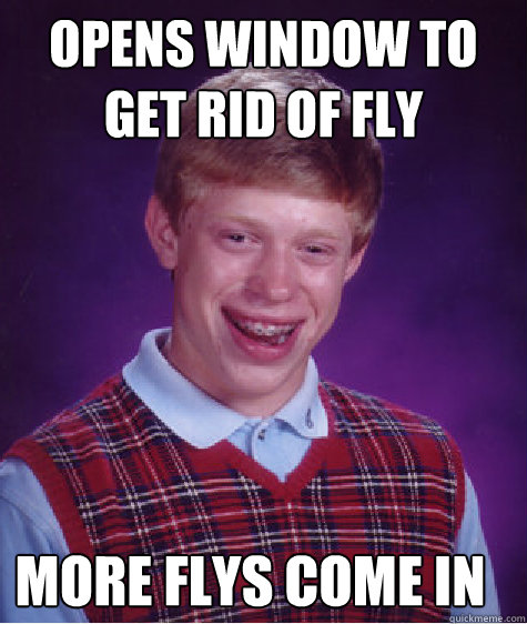 Opens window to get rid of fly More flys come in - Opens window to get rid of fly More flys come in  Bad Luck Brian