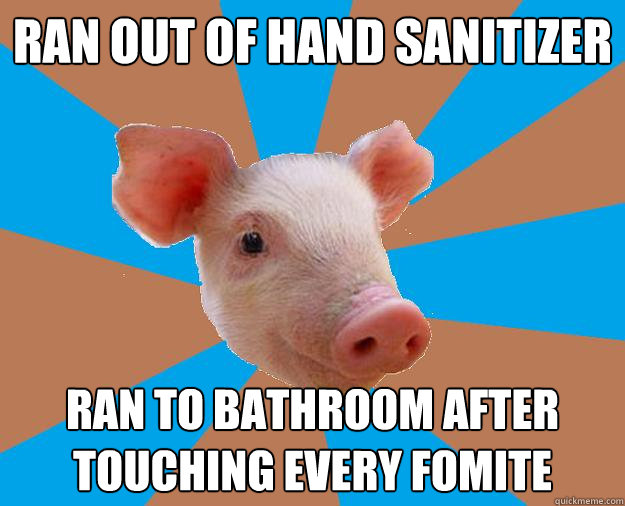 ran out of hand sanitizer ran to bathroom after touching every fomite  Public Health Piglet