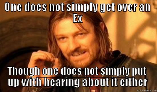 ONE DOES NOT SIMPLY GET OVER AN EX THOUGH ONE DOES NOT SIMPLY PUT UP WITH HEARING ABOUT IT EITHER Boromir