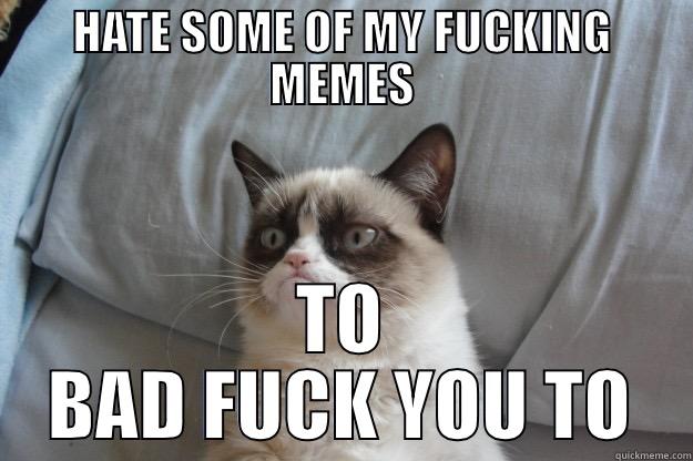 HATE SOME OF MY FUCKING MEMES TO BAD FUCK YOU TO Grumpy Cat