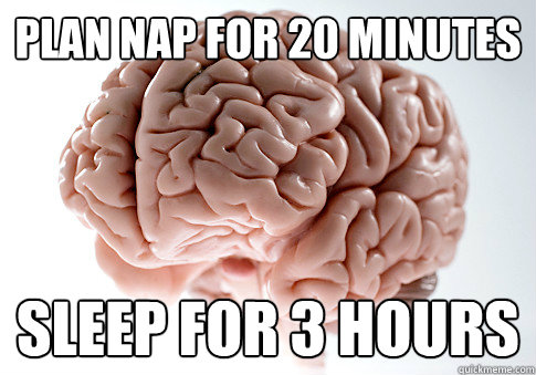 PLAN NAP FOR 20 MINUTES SLEEP FOR 3 HOURS  Scumbag Brain