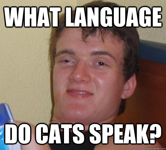 What language do cats speak?  stoner guy