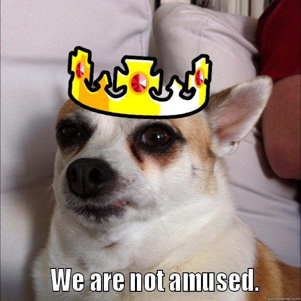 Bitch please, you majesty. -          WE ARE NOT AMUSED.      Misc