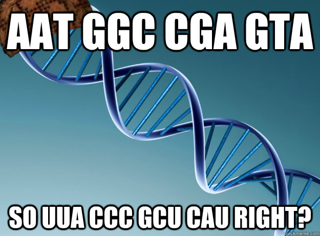 AAT GGC CGA GTA So UUA CCC GCU CAU right?  Scumbag Genetics