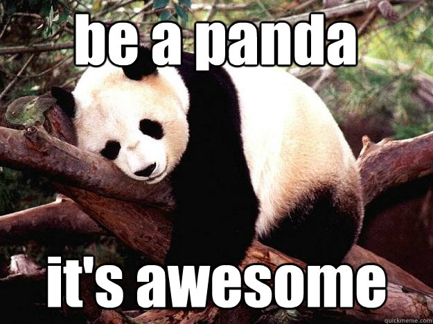 be a panda it's awesome  Procrastination Panda