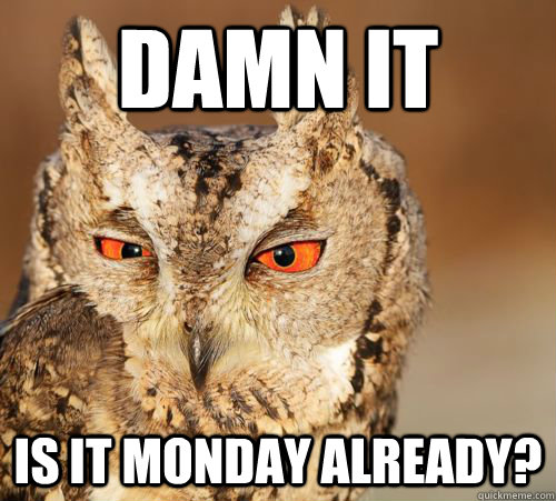 Damn it Is it monday already? - Damn it Is it monday already?  Hungover Owl