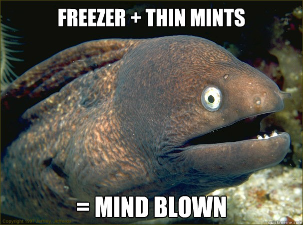 Freezer + thin mints = mind blown  Bad Joke Eel