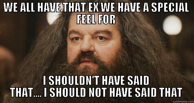 WE ALL HAVE THAT EX WE HAVE A SPECIAL FEEL FOR I SHOULDN'T HAVE SAID THAT.... I SHOULD NOT HAVE SAID THAT Misc