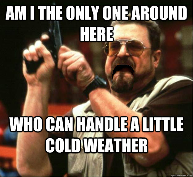 Am i the only one around here who can handle a little cold weather - Am i the only one around here who can handle a little cold weather  Misc