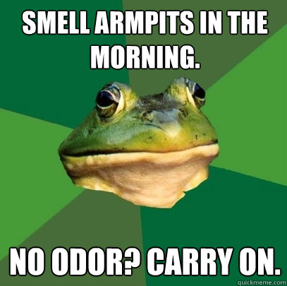 Smell armpits in the morning. No odor? Carry on. - Smell armpits in the morning. No odor? Carry on.  Foul Bachelor Frog