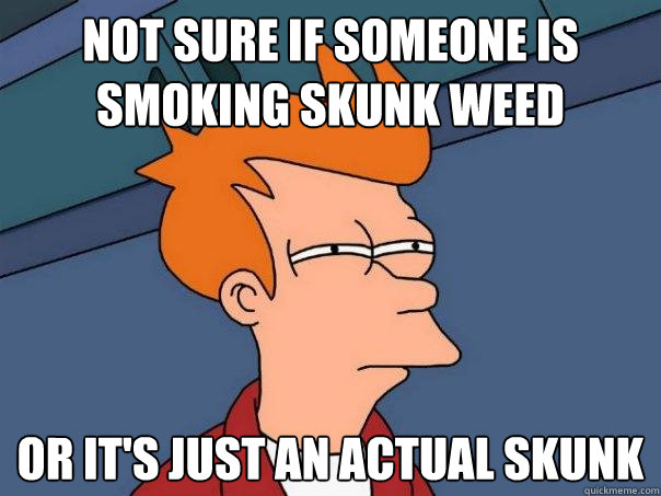 not sure if someone is smoking skunk weed or it's just an actual skunk - not sure if someone is smoking skunk weed or it's just an actual skunk  Futurama Fry