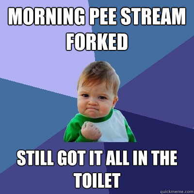 Morning pee stream forked Still got it all in the toilet  Success Kid