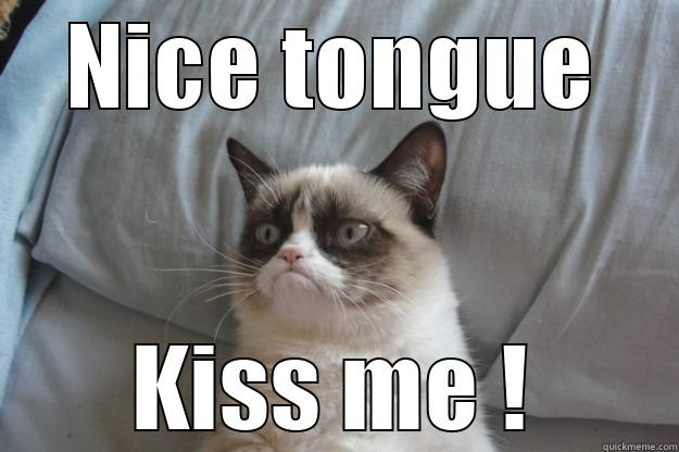 NICE TONGUE KISS ME ! Grumpy Cat