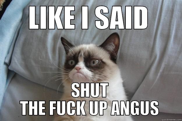 LIKE I SAID SHUT THE FUCK UP ANGUS Grumpy Cat