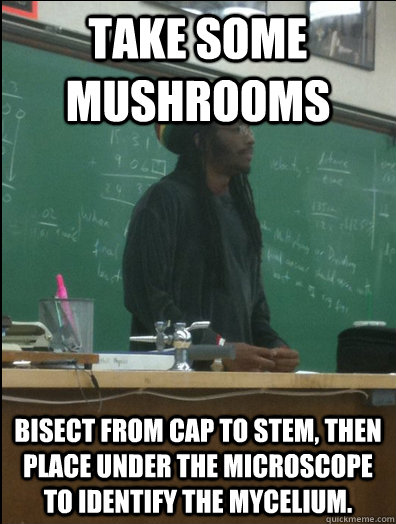 take some mushrooms Bisect from cap to stem, then place under the microscope to identify the mycelium.  Rasta Science Teacher