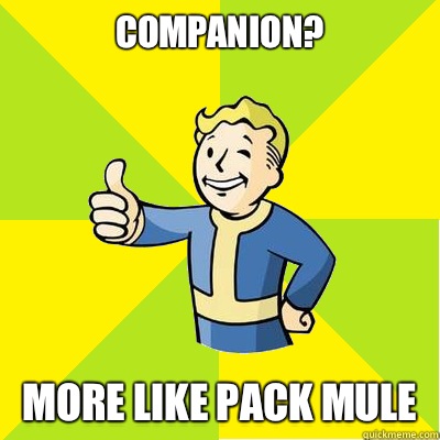 Companion? More like pack mule - Companion? More like pack mule  Fallout new vegas