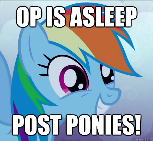 OP is ASLEEP post ponies!  Rainbow Dash DO WANT