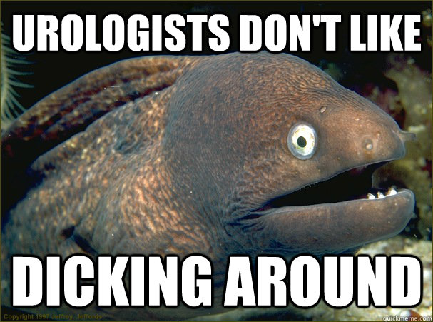 Urologists don't like dicking around  Bad Joke Eel