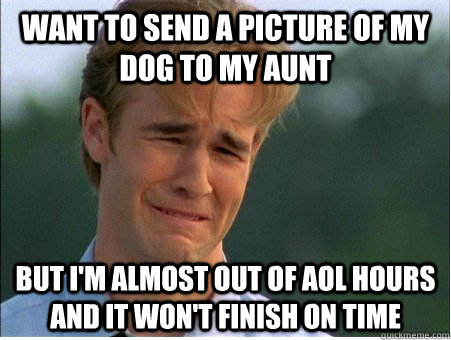 Want to send a picture of my dog to my aunt but I'm almost out of AOL hours and it won't finish on time  1990s Problems